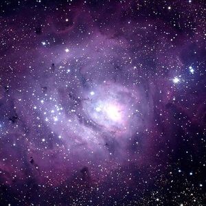 Meet your Posher, Tiffanie